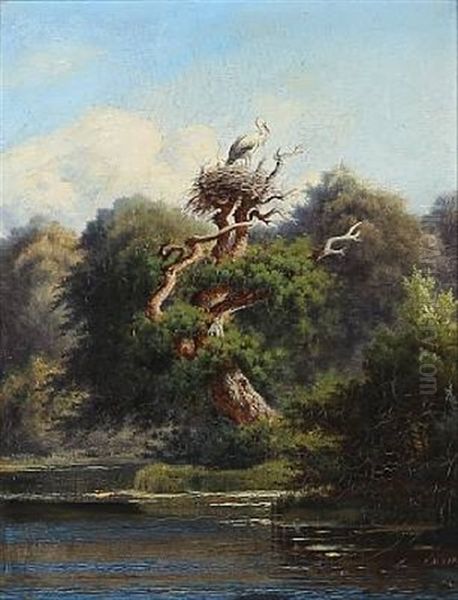 Stork In An Old - view 1