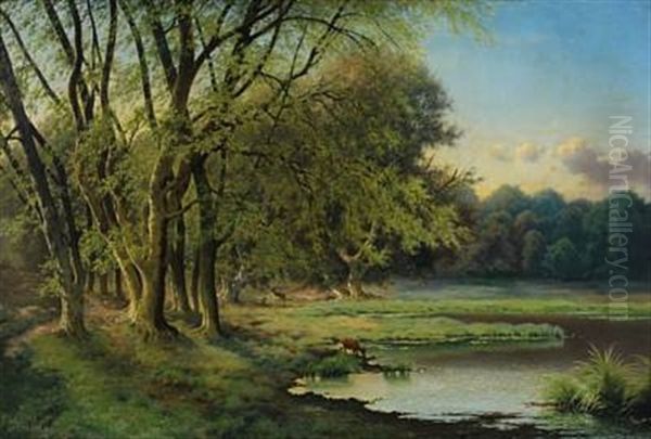Lanscape At Fuglsangsso In Dyrehaven - view 1
