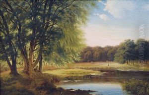 Lake In A Forest Lake In A Forest
