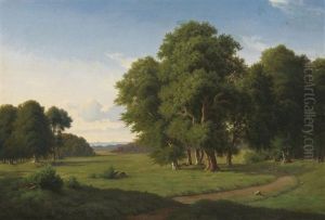 Weite Parklandschaft Mit Rehen Weite Parklandschaft Mit Rehen