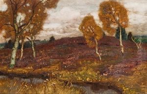 Mooslandschaft