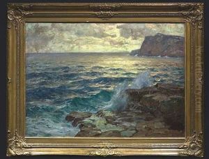 Felsenkuste Im Abendlicht
