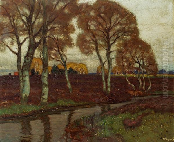 Mooslandschaft - view 1