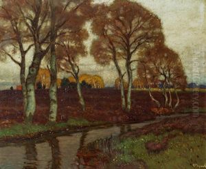 Mooslandschaft Mooslandschaft