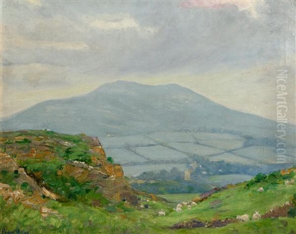 Sheep Grazing - view 1
