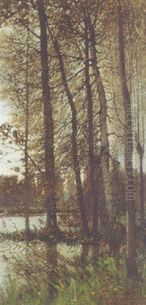 Autumnal Greys (forest Of Fontainbleau) - view 1