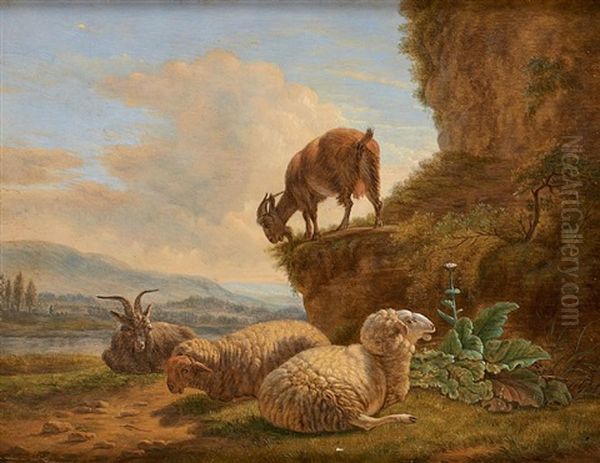 Boucs Et Moutons Sur Fond De Paysage Avec Riviere - view 1
