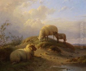 Rustende Schapen Rustende Schapen