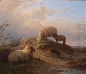 Ewes And A Lamb By A Pool