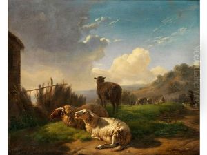 Schafe Und Hirte In Hugeliger Landschaft
