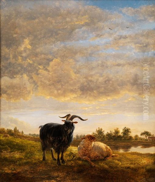 Ziegenbock Und Schaf In Weidelandschaft Mit Tumpel - view 1