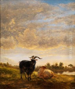 Ziegenbock Und Schaf In Weidelandschaft Mit Tumpel Ziegenbock Und Schaf In Weidelandschaft Mit Tumpel