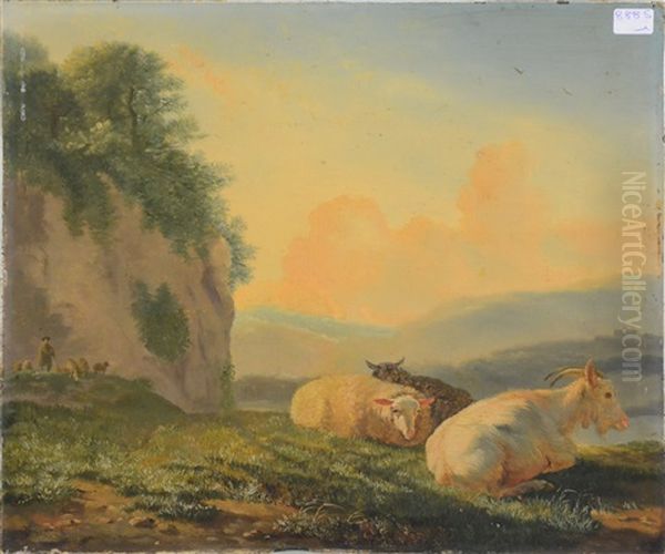 Mouton Et Chevre Dans Une Pature - view 1