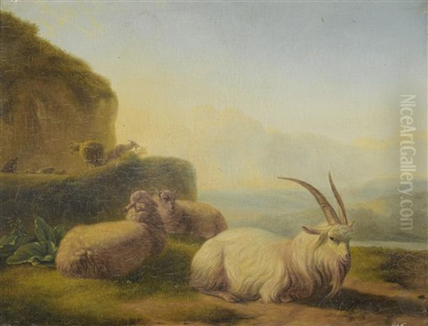 Study Of Goats - view 1