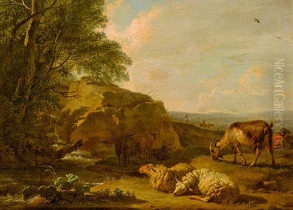 Ruhendes Vieh In Sudlicher Landschaft - view 1