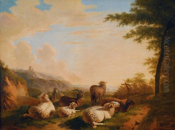 Sheep And Goats In The Pasture - view 1