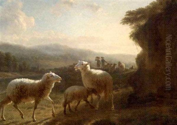 Sheep On A Sunlit Mountain Track - view 1