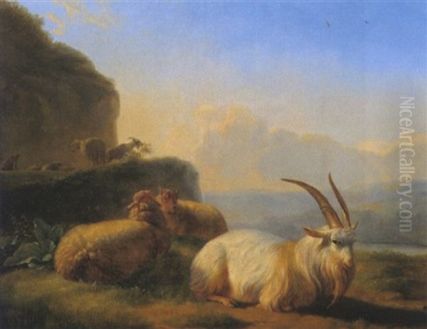 Ziegen In Einer Berglandschaft - view 1