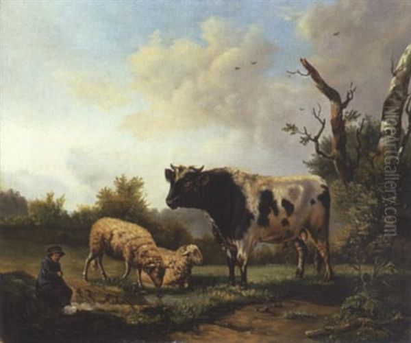 Stier Und Schafe In Wiesenlandschaft - view 1