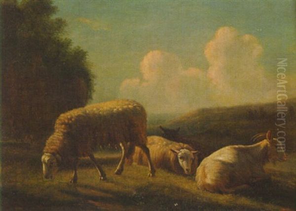 Sheep Grazing - view 1
