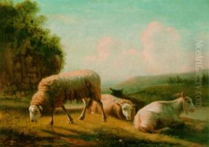 Sheep Grazing In A Meadow Sheep Grazing In A Meadow