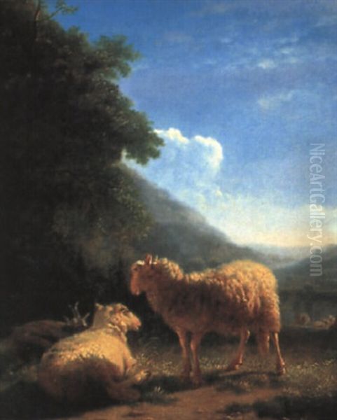 Schafe Vor Weiter Landschaft - view 1