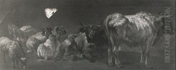 A Study Of Sheep And Cattle - view 1