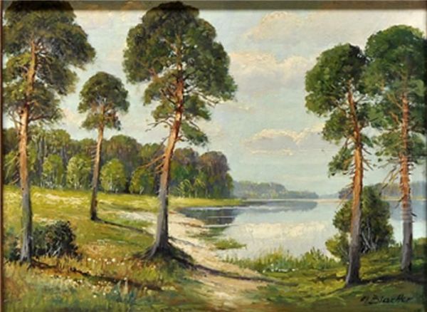 Havelbucht - view 1
