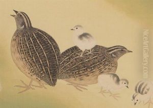 Spring Japanese Quail by Seiju Omoda