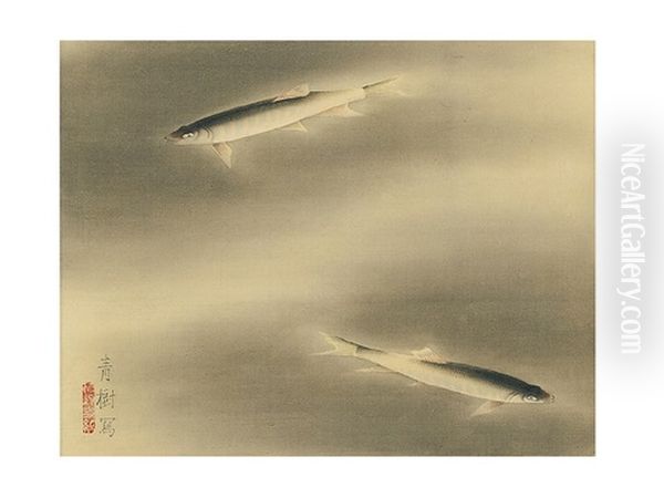 Fishes - view 1