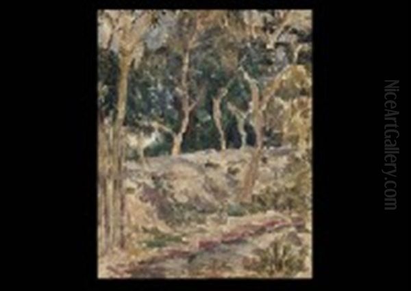 Tree Besides The Stream (taiwan Landscape) - view 1