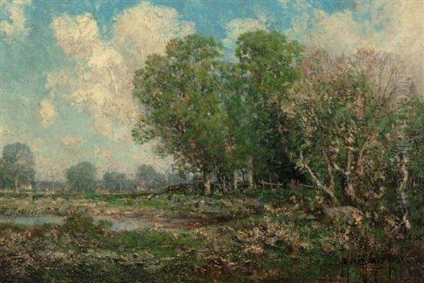 Spring Landscape - view 1
