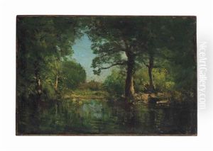 A Woodland Pool