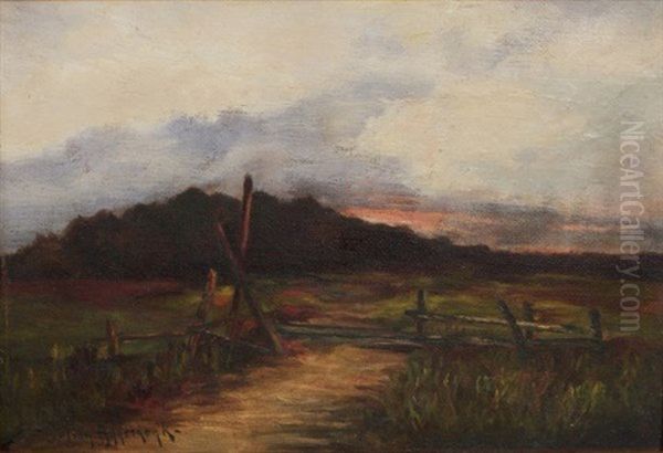 Untitled (texas Sunset) - view 1