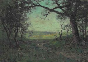 Evening Evening