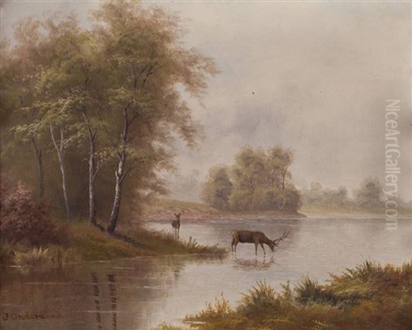 Deer At A Stream - view 1
