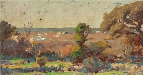 Golden Hill Country - view 1