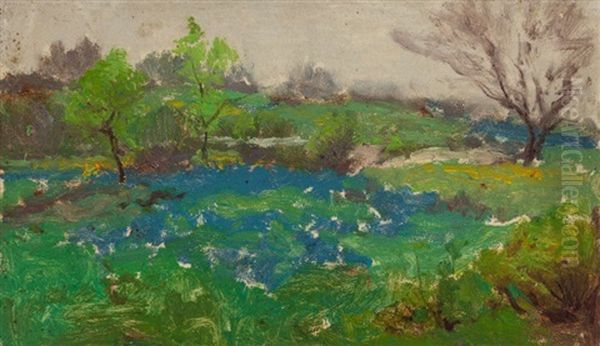 Bluebonnets (plein-air Sketch) - view 1