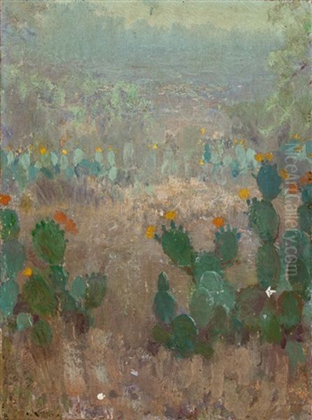 Texas Cactus In Bloom - view 1