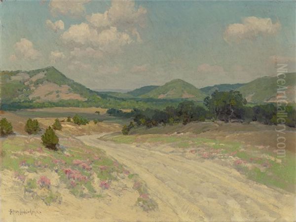 Adobe Road And Wild Quinine, Williams Ranch, Medina - view 1