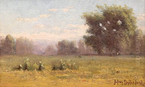 Cactus Field - view 1