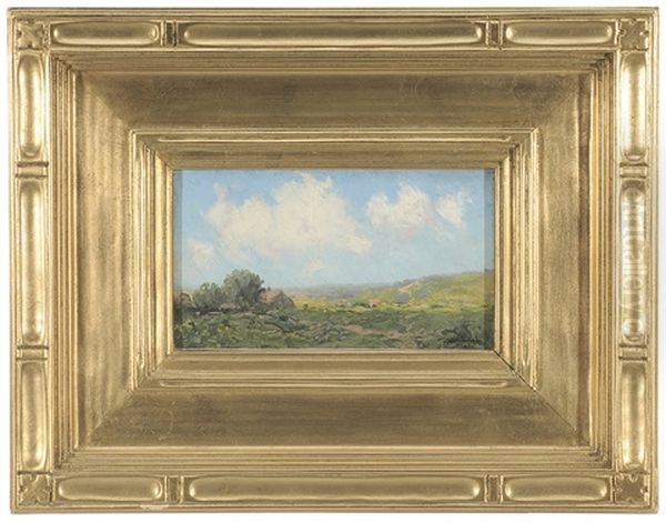 Sunlit Meadows - view 1