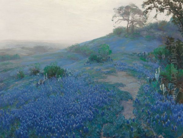 Blue Bonnet Field, Early Morning, San Antonio Texas - view 1