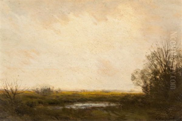 Marsh Lands - view 1