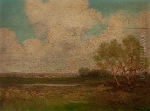 Sunlit Meadows - view 1