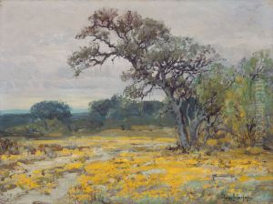 Coreopsis, Near San Antonio, Texas