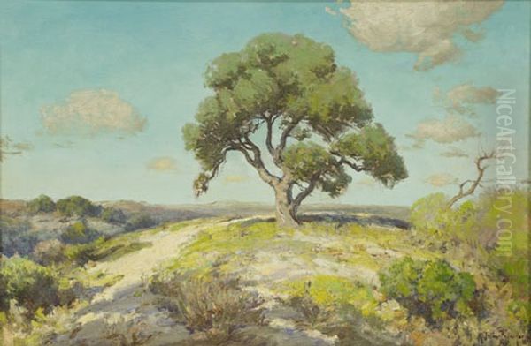 In The Hills, South Texas - view 1