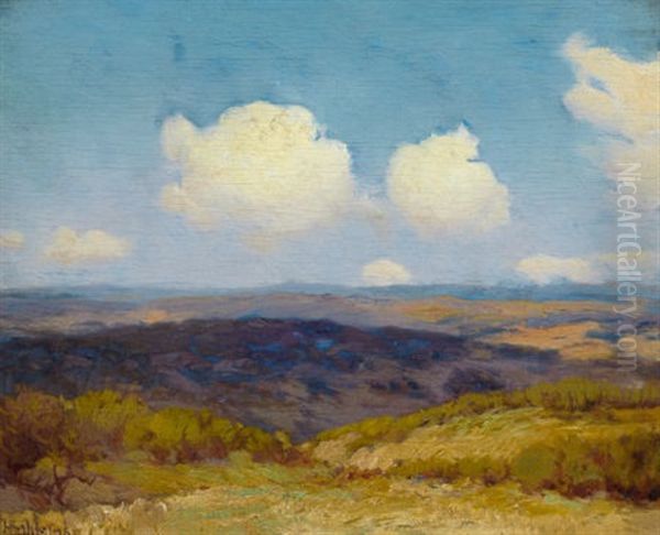 Flying Shadows - view 1