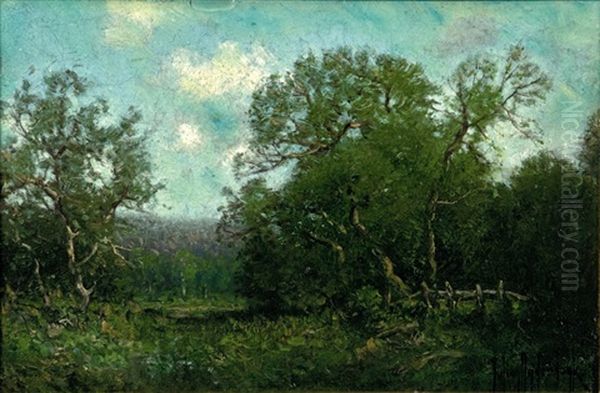 Landscape - view 1