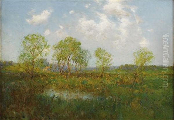 Late Afternoon - view 1